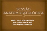 ORG.: Dra. Dulce Barreto Dra. Régia Patrocínio Dra. Louize Emanuele.