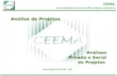 Análise de Projetos Análises Privada e Social de Projetos.