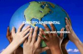 DIREITO AMBIENTAL LUCIANE FERREIRA. Breve Histórico do Direito Ambiental Quando estudamos a história das sociedades verificamos que o sistema capitalista.