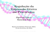 Regulação da Expressão Gênica em Procariotos Operon Lac e Sistema Tet Raíssa de Fátima Pimentel Melo 15 de Fevereiro de 2012.