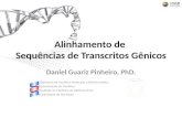 Alinhamento de Sequências de Transcritos Gênicos Daniel Guariz Pinheiro, PhD. Laboratório de Genética Molecular e Bioinformática Departamento de Genética.