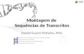 Montagem de Sequências de Transcritos Daniel Guariz Pinheiro, PhD. Laboratório de Genética Molecular e Bioinformática Departamento de Genética Faculdade.