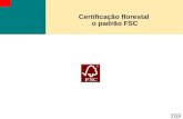 Certificação florestal o padrão FSC. FSC FSC – Forest Stwerdship Council (Conselho de Manejo Florestal) Iniciativa surgida na década de 1990, envolvendo.