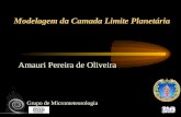 Modelagem da Camada Limite Planetária Amauri Pereira de Oliveira Grupo de Micrometeorologia.