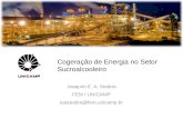 Cogeração de Energia no Setor Sucroalcooleiro Joaquim E. A. Seabra FEM / UNICAMP jeaseabra@fem.unicamp.br.