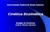 Universidade Federal de Santa Catarina Cinética Enzimática Estágio de Docência Juliana Ribeiro Mariotto.
