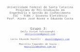 Universidade Federal de Santa Catarina Programa de Pós-Graduação em Engenharia e Gestão do Conhecimento EGC - 9104 / Governo Eletrônico Prof. Aires José.