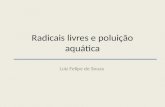 Radicais livres e poluição aquática Luiz Felipe de Souza.