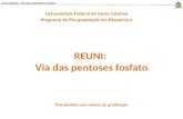 Aula REUNI : Via das pentoses fosfato REUNI: Via das pentoses fosfato Universidade Federal de Santa Catarina Programa de Pós-graduação em Bioquímica Tira-dúvidas.
