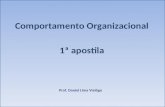 Comportamento Organizacional 1ª apostila Prof. Daniel Lima Vialôgo.
