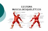 SISTEMA MUSCULOESQUELÉTICO. SISTEMA MUSCULAR CONCEITO Miologia estuda os músculos Mio= músculo É formado pelo conjunto de músculos do nosso corpo As células.