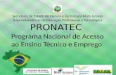 Secretaria de Estado de Ciência e Tecnologia-Mato Grosso Superintendência de Educação Profissional e Tecnológica PRONATEC Programa Nacional de Acesso ao.