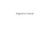 Algebra Linear. Aplicações Resolução de problemas Lineares Otimização de processos Estatística Processamento de Imagens Programação.