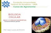 Fundação Universidade Federal de Rondônia - UNIR Curso de Agronomia Prof. Isaac Lucena de Amorim AULA 4: A CÉLULA EUCARIÓTICA -Características gerais.