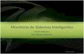 Monitoria de Sistemas Inteligentes Victor Palmeira Prof Teresa Ludermir Por Alice Lucena.