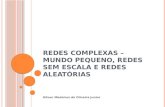 R EDES COMPLEXAS – M UNDO PEQUENO, REDES SEM ESCALA E REDES ALEATÓRIAS Gilson Medeiros de Oliveira Junior.