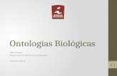 Ontologias Biológicas Filipe Santana Doutorando em Ciência da Computação fss3@cin.ufpe.br 1.