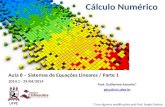 Aula 8 – Sistemas de Equações Lineares / Parte 1 Prof. Guilherme Amorim* gbca@cin.ufpe.br 2014.1 - 29/04/2014 Cálculo Numérico * Com algumas modificações.