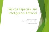 Tópicos Especiais em Inteligência Artificial Professora: Aurora Pozo Carga horária: 60 horas - 4 créditos Primeiro semestre de 2012 Tema: Metaheurísticas.
