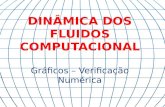 1 DINÂMICA DOS FLUIDOS COMPUTACIONAL Gráficos – Verificação Numérica.