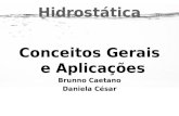 Conceitos Gerais e Aplicações Brunno Caetano Daniela César.