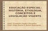 EDUCAÇÃO ESPECIAL: HISTÓRIA, ETIOLOGIA, CONCEITOS E LEGISLAÇÃO VIGENTE Profª Elisandra André Maranhe Profª Olga Maria P. Rolim Rodrigues.