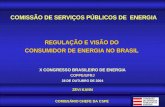 Agência Reguladora e Fiscalizadora dos Serviços de Energia Elétrica e Gás Canalizado do Estado de São Paulo ZEVI KANN COMISSÁRIO CHEFE DA CSPE REGULAÇÃO.