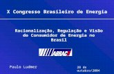 X Congresso Brasileiro de Energia Paulo Ludmer 28 de outubro/2004 Racionalização, Regulação e Visão do Consumidor de Energia no Brasil.