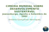 CIMEIRA MUNDIAL SOBRE DESENVOLVIMENTO SUSTENTÁVEL Joanesburgo, Agosto e Setembro de 2002 António Gonçalves Henriques.