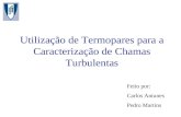 Utilização de Termopares para a Caracterização de Chamas Turbulentas Feito por: Carlos Antunes Pedro Martins.