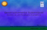 Desenvolvimento Sustentável Quebra de um Paradigma Energético M.Sc. in Engineering Policy and Management of Technology Macroeconomia miguel faria 2.6.2006.