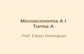 Microeconomia A I Turma A Prof. Edson Domingues. Comportamento do Consumidor Restrição Orçamentária Utilidade e Escolha I.