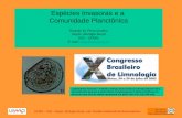 Espécies Invasoras e a Comunidade Planctônica Ricardo M. Pinto-Coelho Depto. Biologia Geral ICB – UFMG E-mail: rmpc@icb.ufmg.brrmpc@icb.ufmg.br UFMG –
