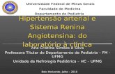 Hipertensão arterial e Sistema Renina Angiotensina: do laboratório à clínica Ana Cristina Simões e Silva Professora Titular do Departamento de Pediatria.