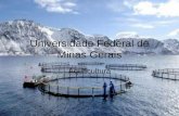 Universidade Federal de Minas Gerais Aquacultura.