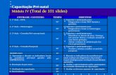 Capacitação Pré-natal Módulo IV (Total de 101 slides)
