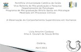 Pontifícia Universidade Católica de Goiás Vice-Reitoria de Pós-graduação e Pesquisa Departamento de Psicologia Programa de Pós-graduação Stricto Sensu.