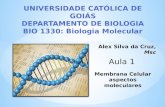 UNIVERSIDADE CATÓLICA DE GOIÁS DEPARTAMENTO DE BIOLOGIA BIO 1330: Biologia Molecular Alex Silva da Cruz, Msc Membrana Celular aspectos moleculares.