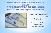 UNIVERSIDADE CATÓLICA DE GOIÁS DEPARTAMENTO DE BIOLOGIA BIO 1330: Biologia Molecular Alex Silva da Cruz, Msc Núcleo celular aspectos moleculares.