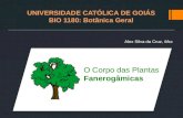 UNIVERSIDADE CATÓLICA DE GOIÁS BIO 1180: Botânica Geral Alex Silva da Cruz, Msc O Corpo das Plantas Fanerogâmicas.