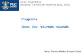 Programa Usos dos recursos naturais Profa. Renata Medici Frayne Cuba Curso: Engenharia Disciplina: Ciências do Ambiente (Eng. 4201)