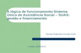 A lógica de funcionamento Sistema Único de Assistência Social – SUAS: gestão e financiamento Denise Ratmann Arruda Colin Curitiba, 05/05/2010.