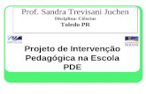Prof. Sandra Trevisani Juchen Disciplina: Ciências Toledo PR Projeto de Intervenção Pedagógica na Escola PDE.