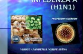 INFLUENZA A (H1N1) PROFESSOR CLERSON VIROSE / PANDEMIA / GRIPE SUÍNA.