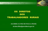 Projeto Cidadania Rural 1 OS DIREITOS DOS TRABALHADORES RURAIS ALCIDES ALVES DE PAULA FILHO alcides.filho@previdencia.gov.br.