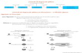 Controle da Expressão Gênica DNARNAmRNAproteína Proteína funcional transcriçãoprocessamento Estabilidade do RNA tradução Pós-tradução Regulação da Transcrição.