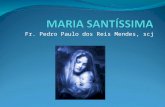 Fr. Pedro Paulo dos Reis Mendes, scj. A FIGURA DE MARIA NA IGREJA A própria Igreja no mundo de hoje tem destacadado a figura da Mãe de Jesus, tanto nas.