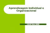 Aprendizagem Individual e Organizacional CEAP Nov 2008.