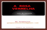 A ROSA VERMELHA Luis de Carvalho By Gasparina gasparinaxavier@gmail.com Imagens da Internet.