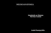 NEUROANATOMIA André Pantoja,MSc. Introdução ao Sistema Nervoso Central.